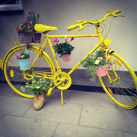 Pensionat Schausten *