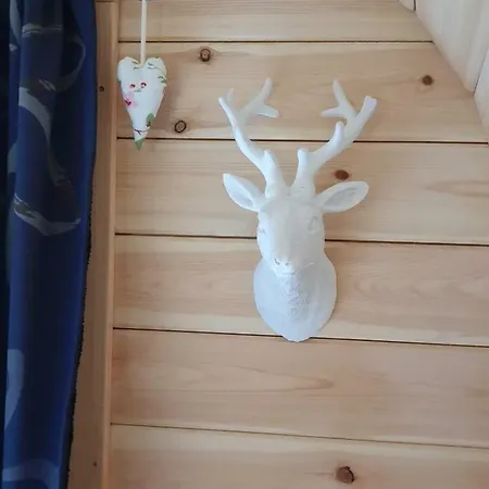 Schausten Pensionat *