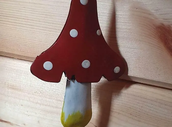 Schausten Gasthuis Cochem